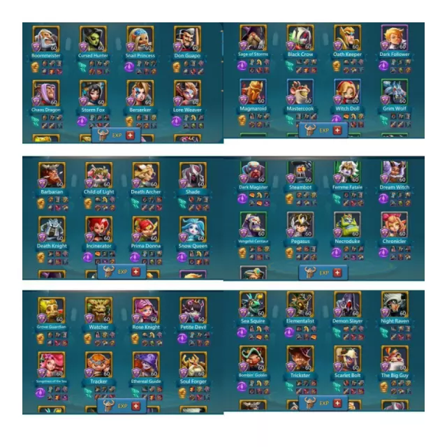 2+2 champ  / Stats 1100% · 5 / 5