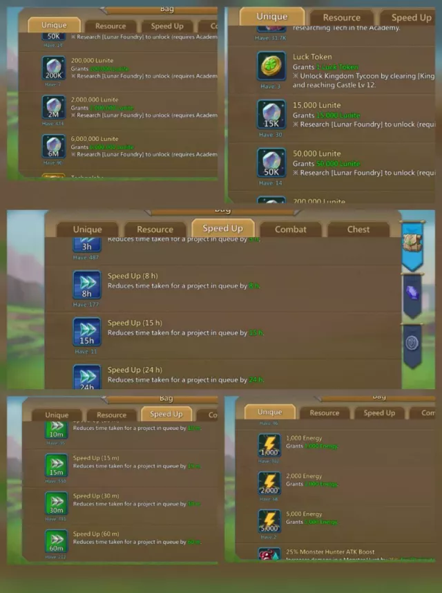 14 Champs / 1172-1125-1104% stats · 1 / 7