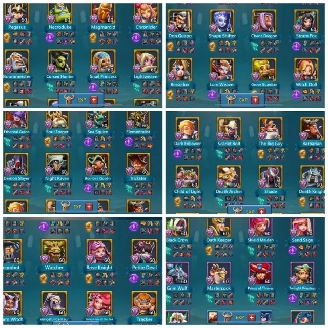 2x11k / 12 champ orange · 7 / 7