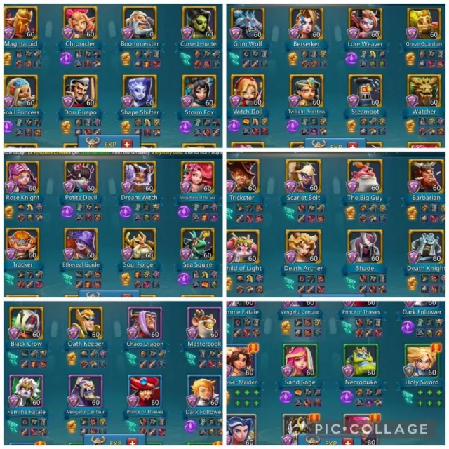 1 Hero 11k gold / 13 Champ mytic · 5 / 6