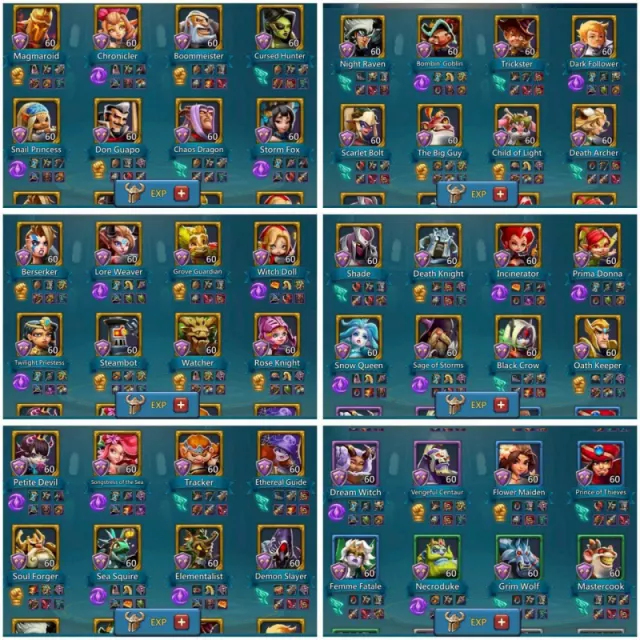 Full Champ - 2 Leader skins · 6 / 6