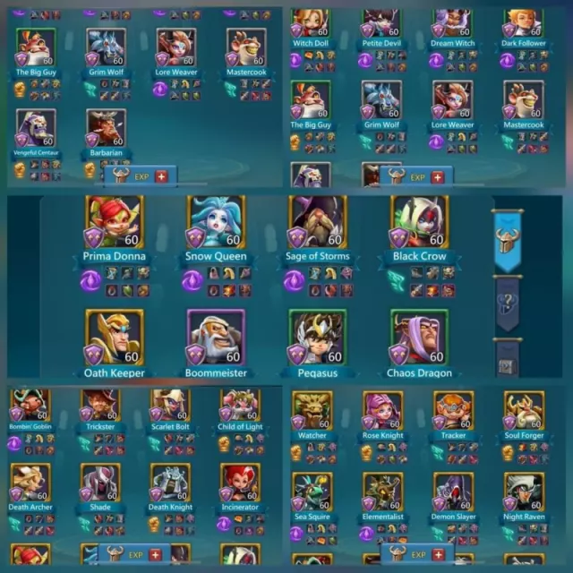2.2b t5 Elite 5.1m t5 · 6 / 6