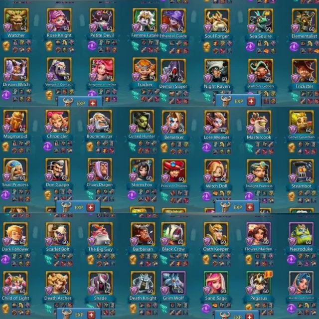 10+1 champ, 4 cups · 4 / 5