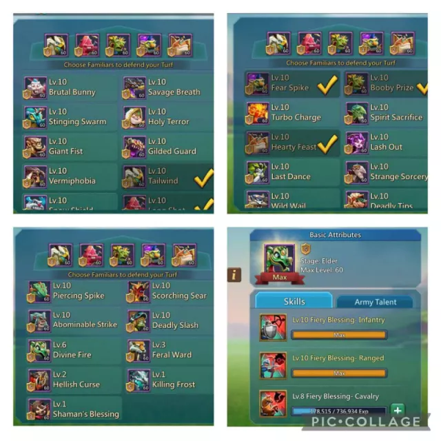 5+1 champ / 3 Cup · 4 / 5