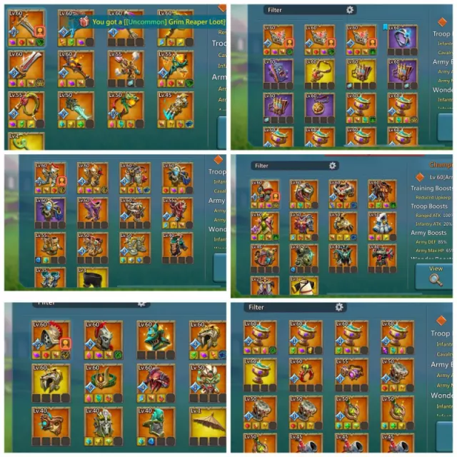 2x11k / 12 champ orange · 6 / 7