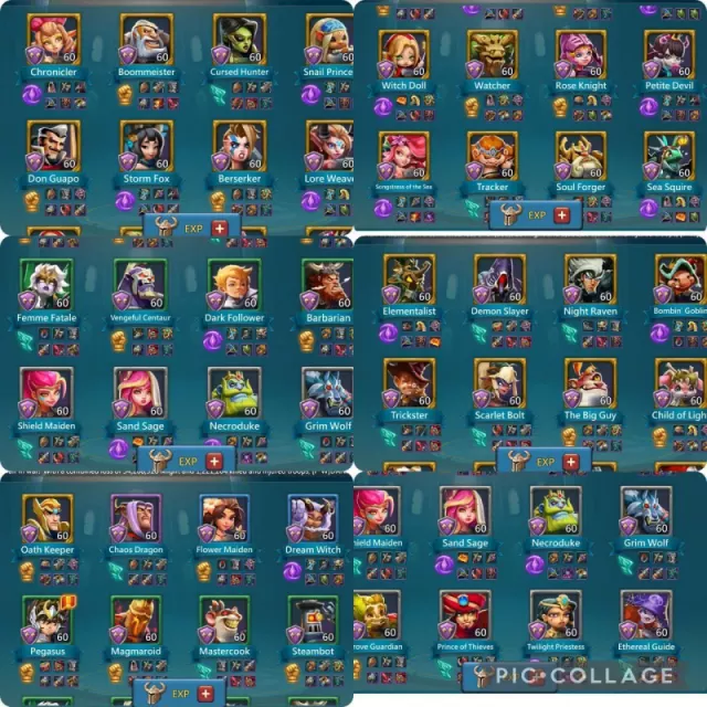 OFFER TODAY 1204% stats /  7+1 champ · 6 / 12