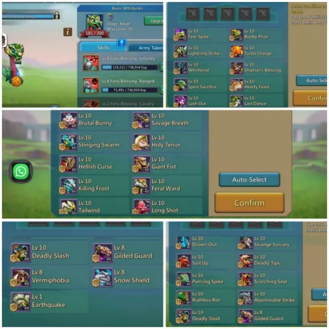 4 Champ Orange / 1090/1018/1033 · 5 / 7